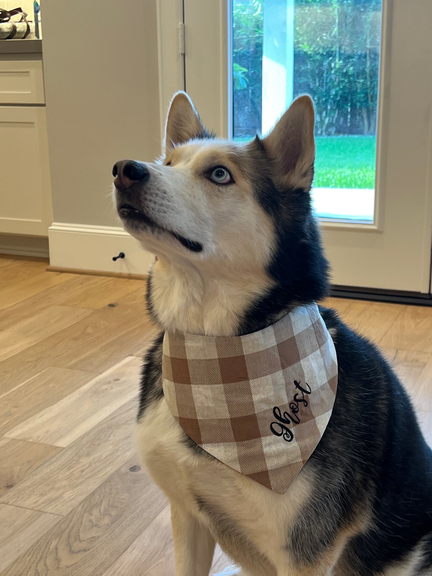 Custom Name Embroidery for Pet Bandana Brown and White Plaid
