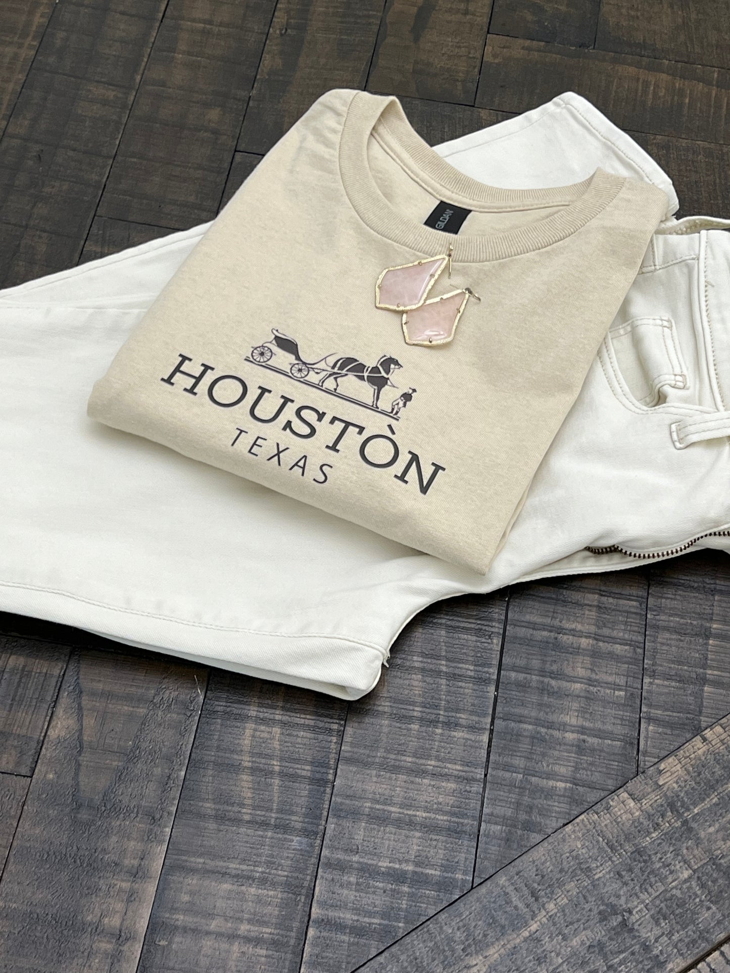 Houston Texas Horse Carriage Gildan Tshirt