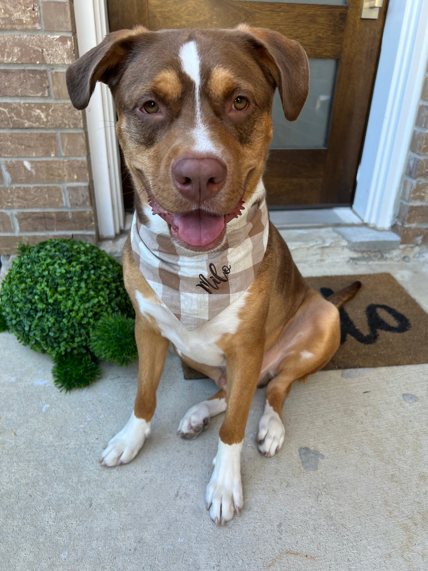 Custom Name Embroidery for Pet Bandana Brown and White Plaid