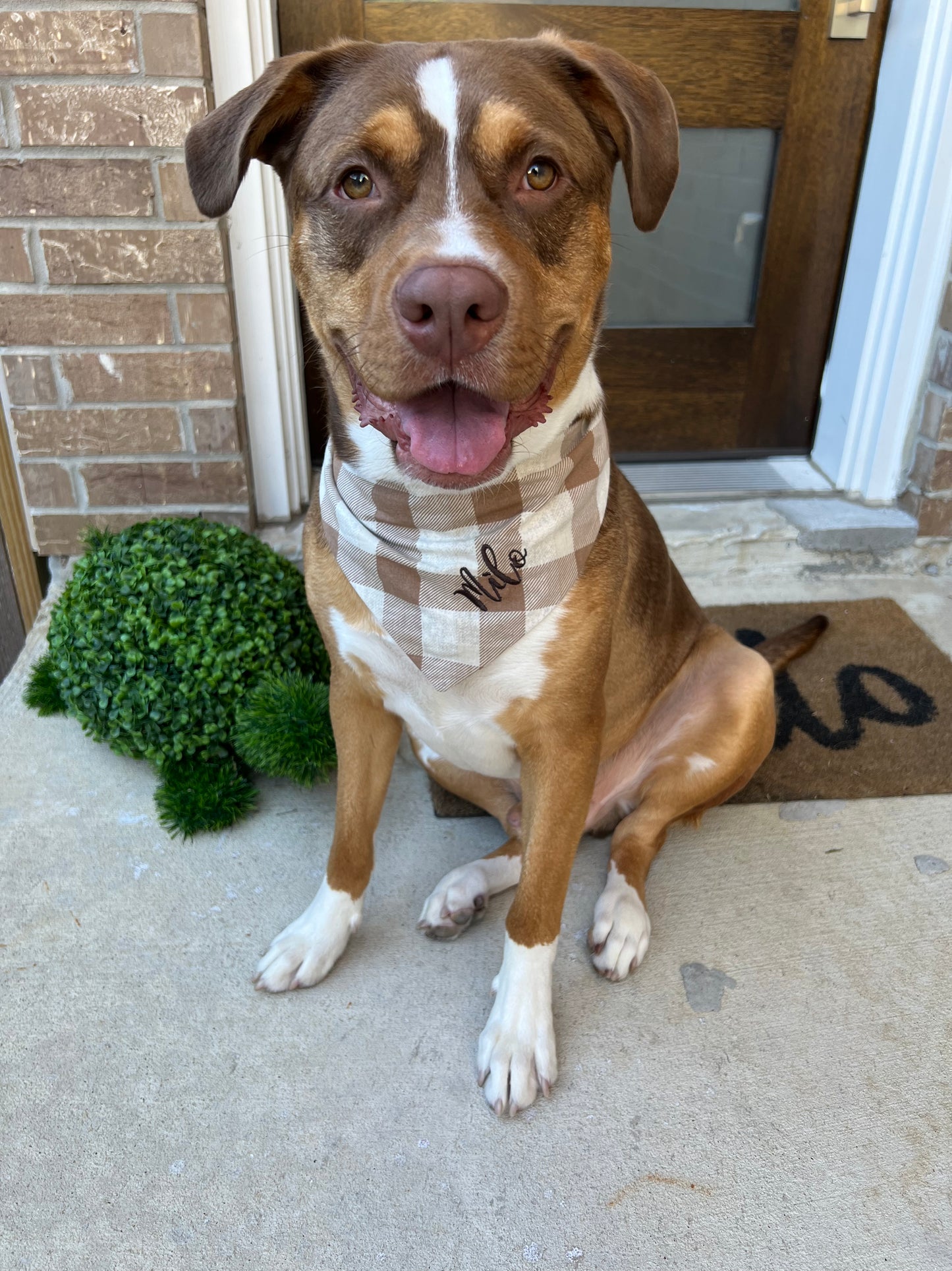 Custom Name Embroidery for Pet Bandana Brown and White Plaid