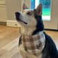 Custom Name Embroidery for Pet Bandana Brown and White Plaid