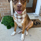 Custom Name Embroidery for Pet Bandana Brown and White Plaid